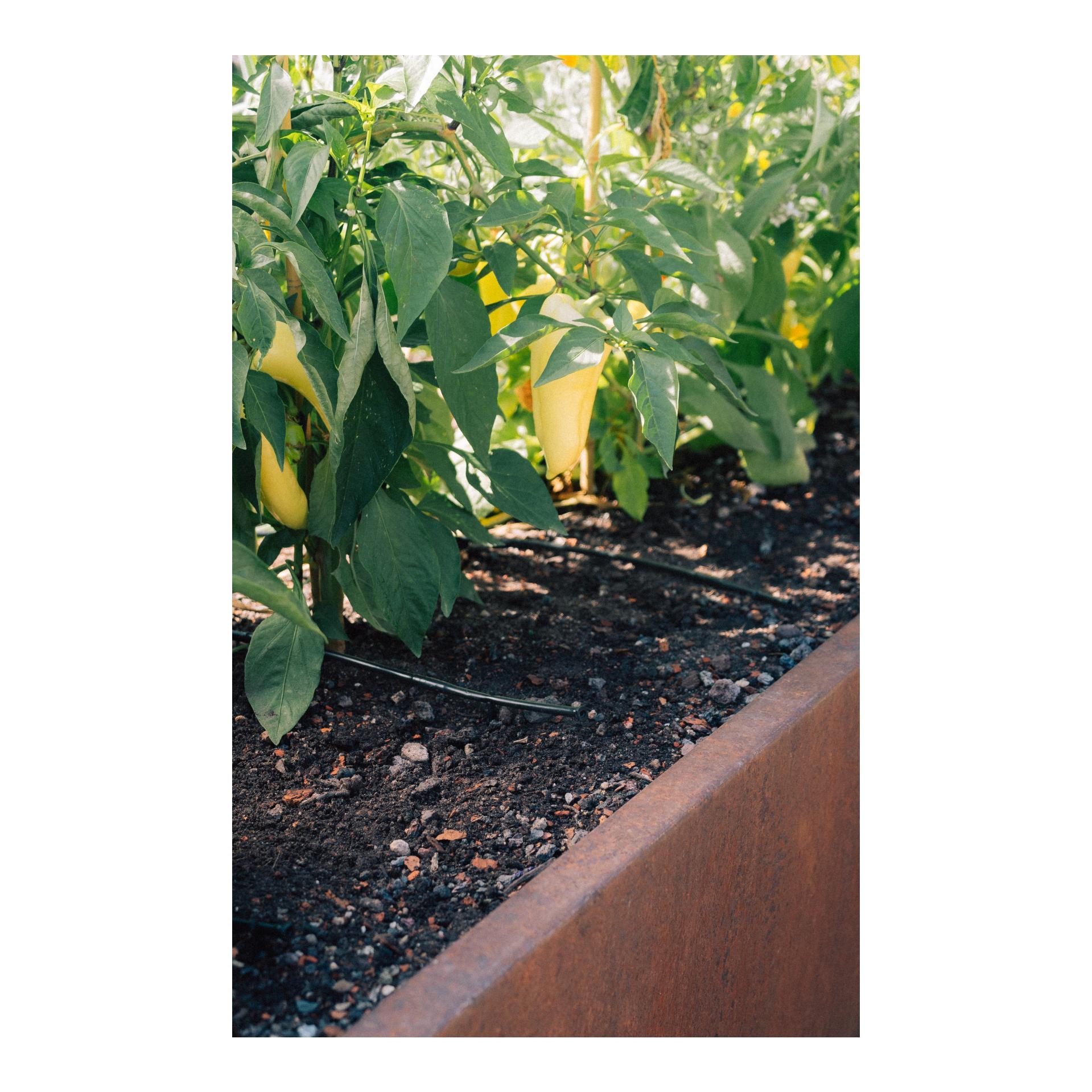 Drip-Set Bewässerung Gemüse und Blumenbeete Drip-Set Bewässerung Gemüse und Blumenbeete