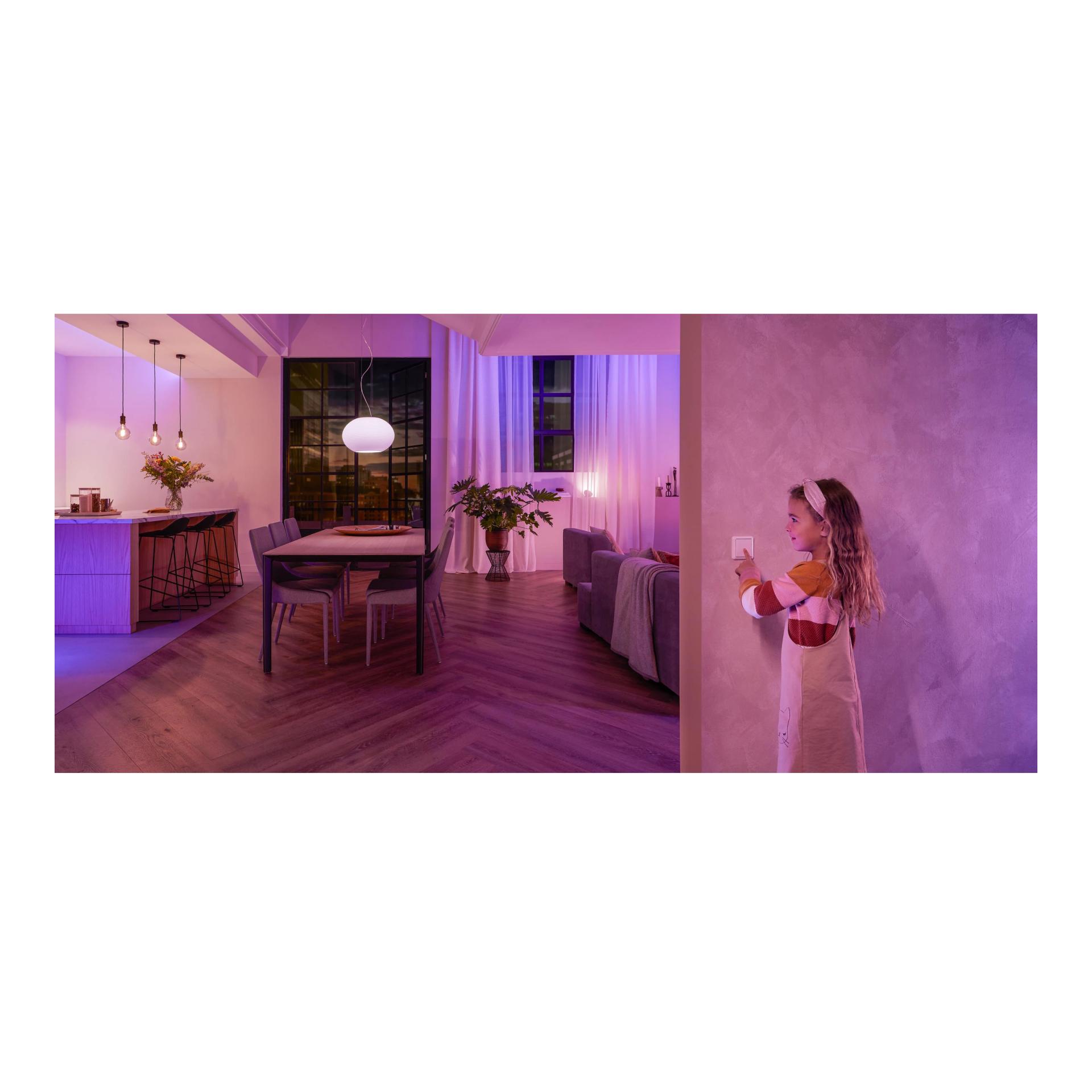Zubehör Wandschalter Modul Doppelpack Zubehör Wandschalter Modul Doppelpack