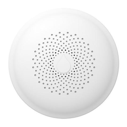 Funk-Wassermelder GS156