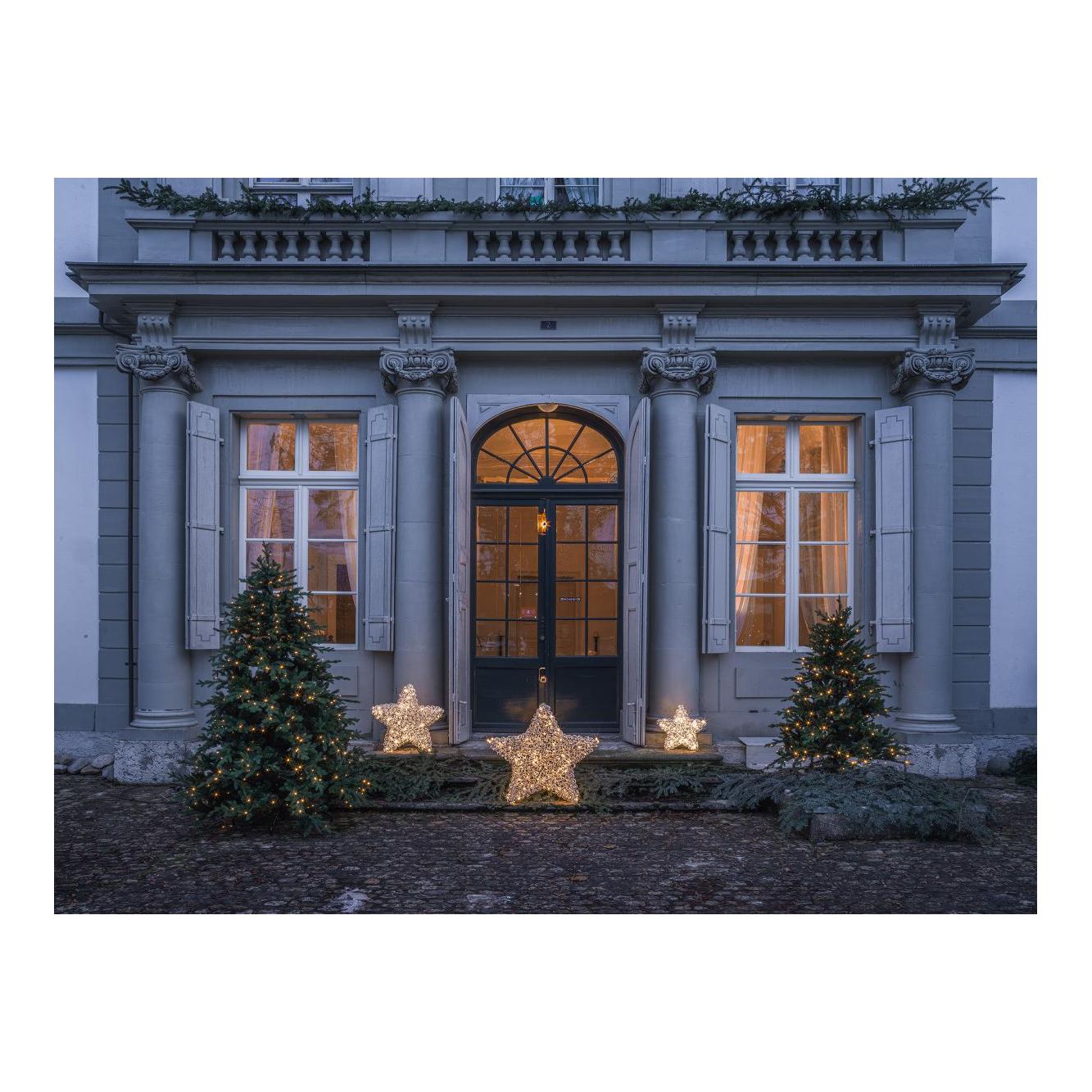 Leonis metal star Leonis metal star