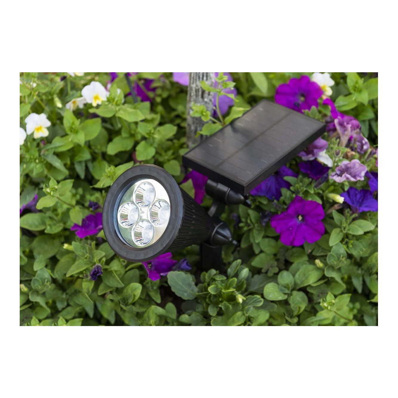 Solar Motion Spot Solar Motion Spot