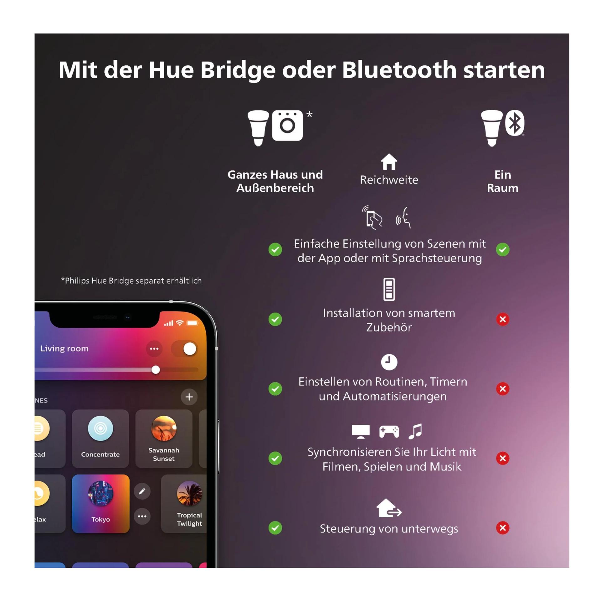 Bridge Bridge