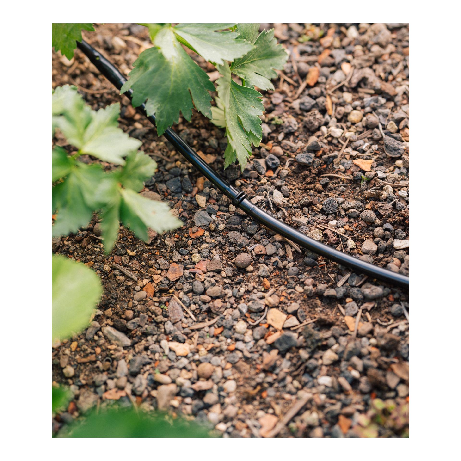 Drip-Set Bewässerung Gemüse und Blumenbeete Drip-Set Bewässerung Gemüse und Blumenbeete