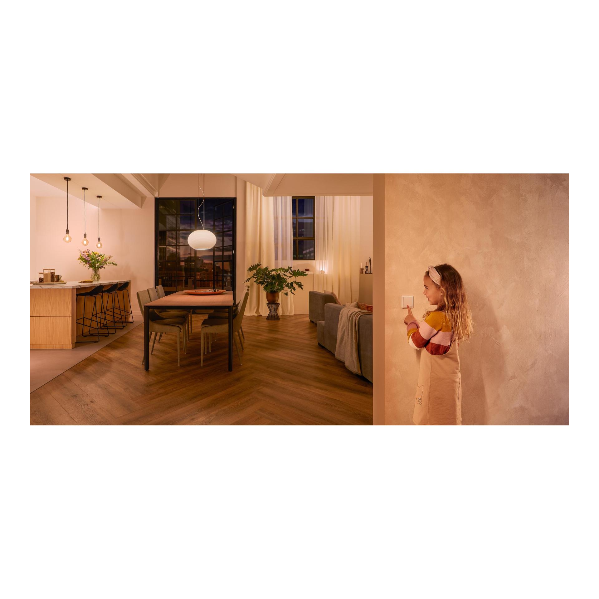 Zubehör Wandschalter Modul Doppelpack Zubehör Wandschalter Modul Doppelpack