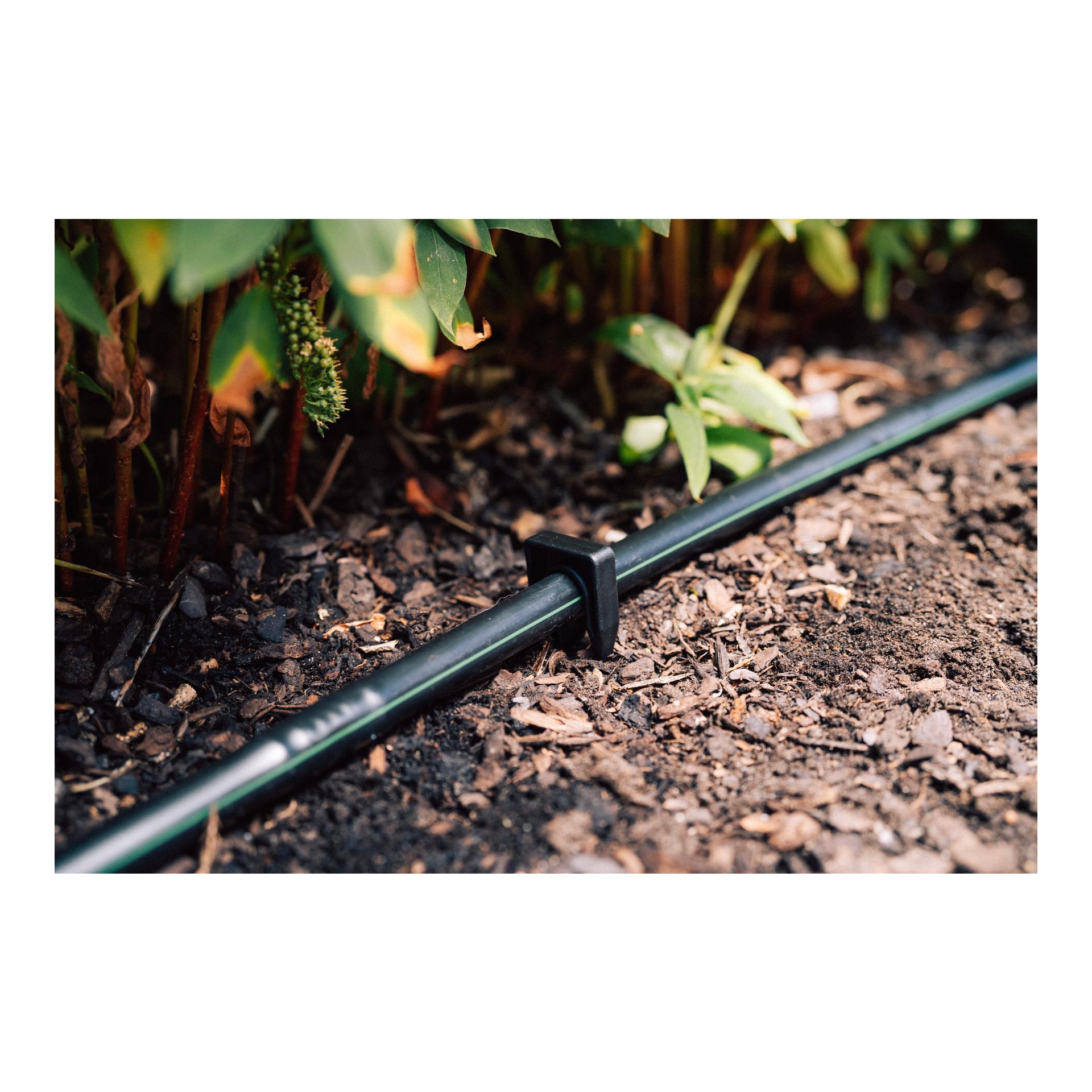 Drip-Set Bewässerung Hecken und Beete Drip-Set Bewässerung Hecken und Beete