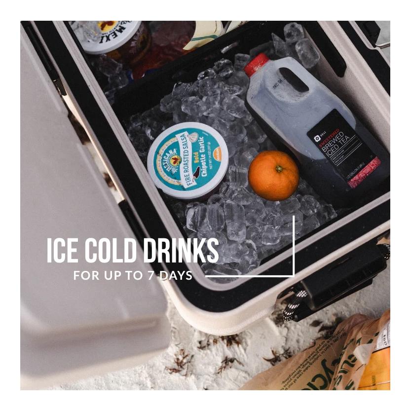 Cooler 65 V2 - Kühlbox