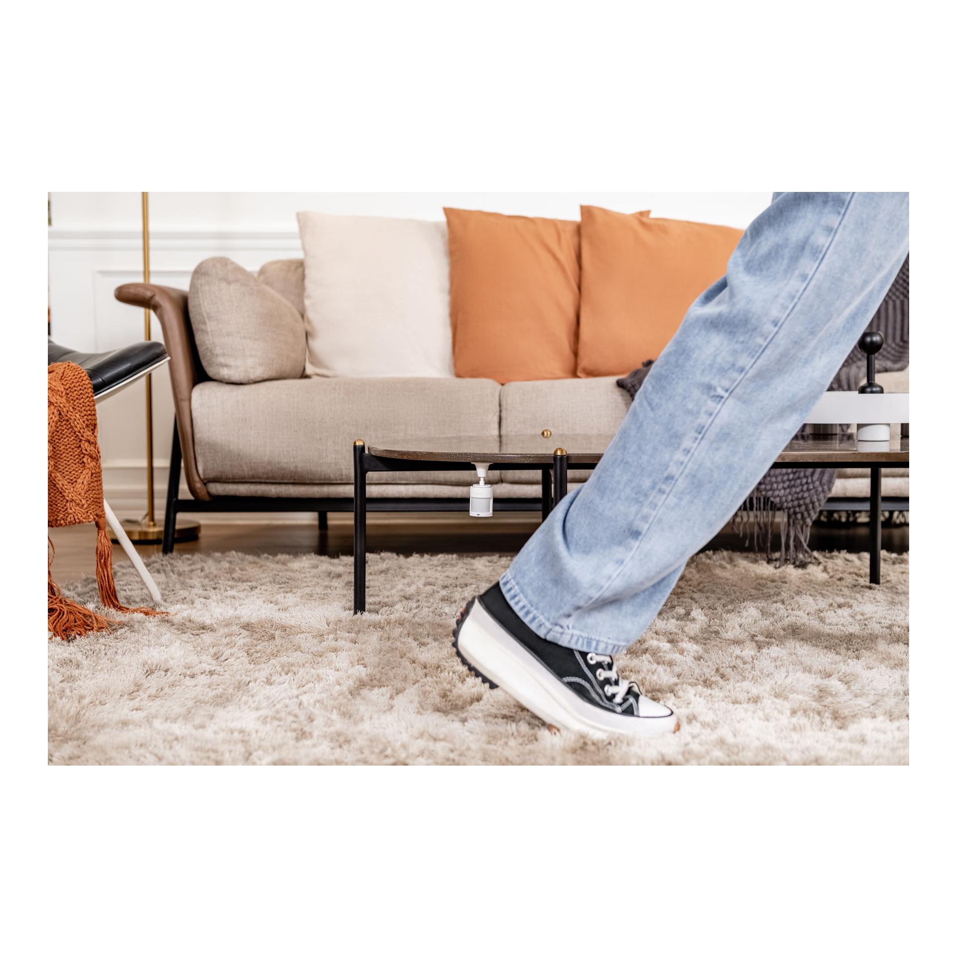 Motion Sensor P1 Motion Sensor P1