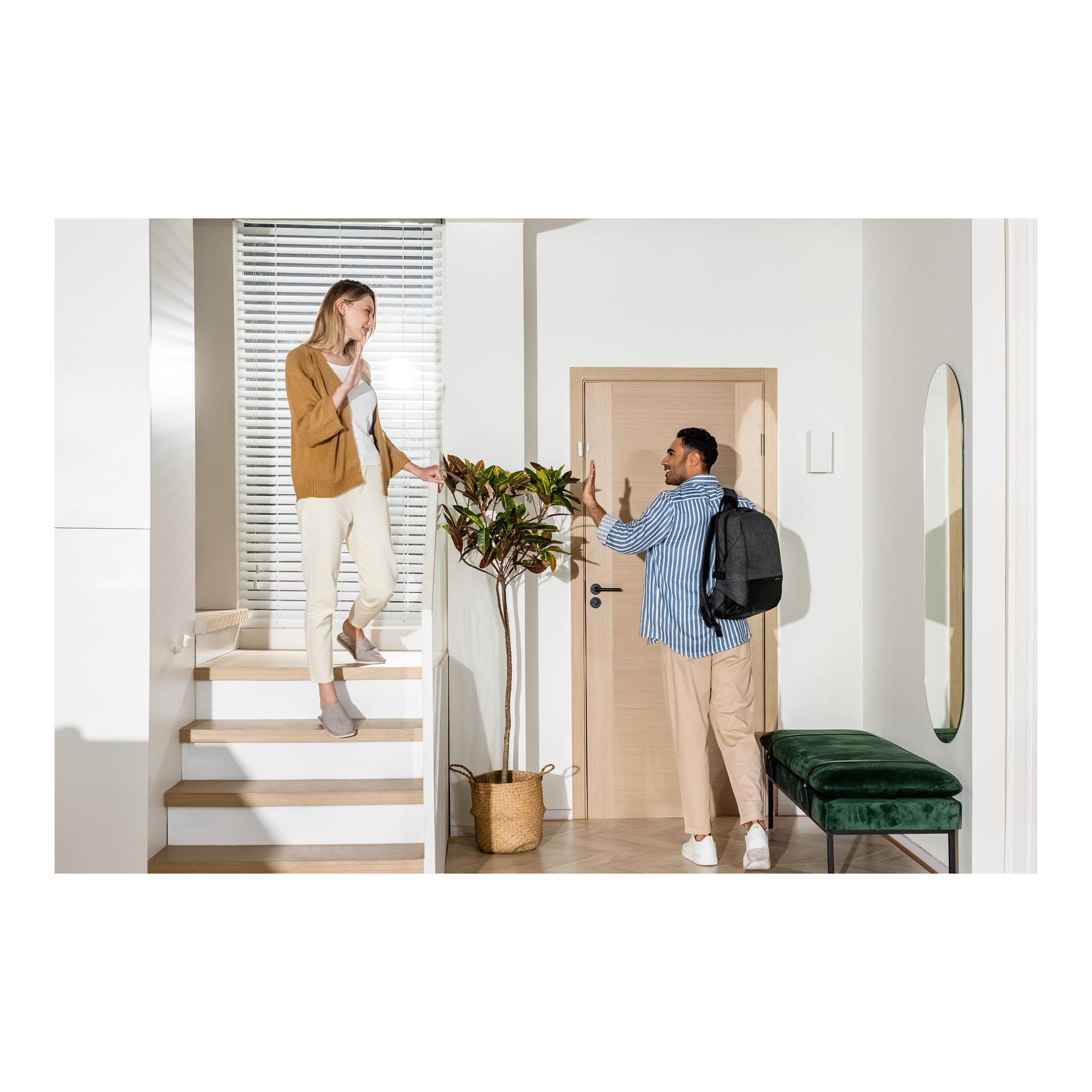 Capteur de porte et de fenêtre P2 Capteur de porte et de fenêtre P2