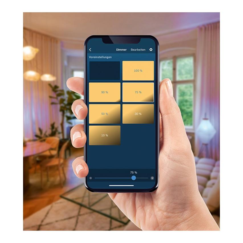 Smart Home Dimmer