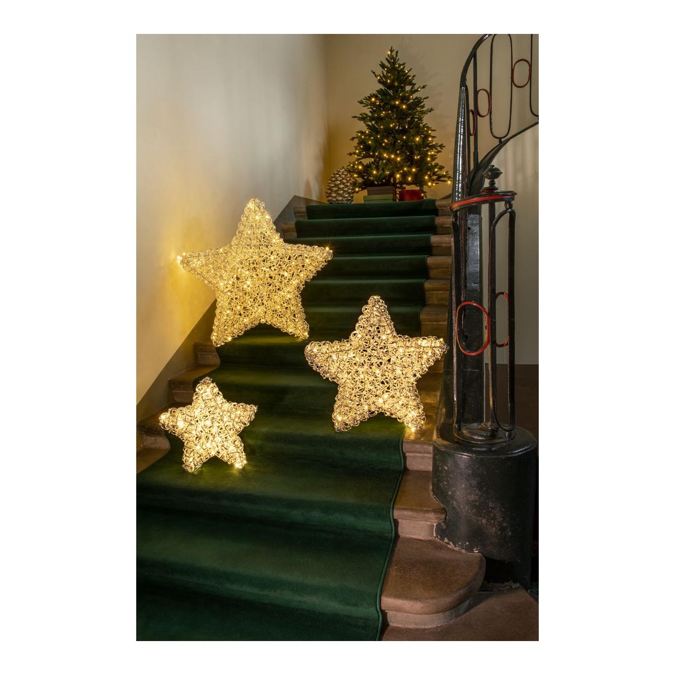 Leonis metal star Leonis metal star