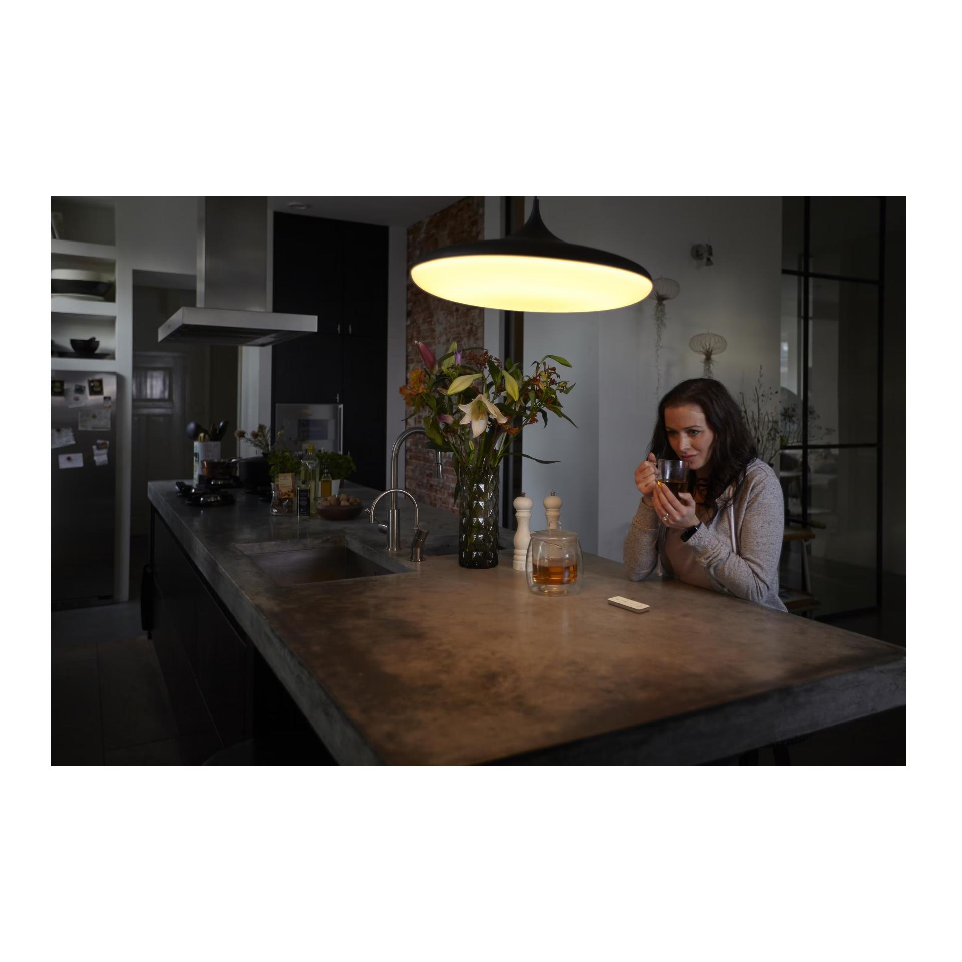 Dimmschalter V2 Dimmschalter V2