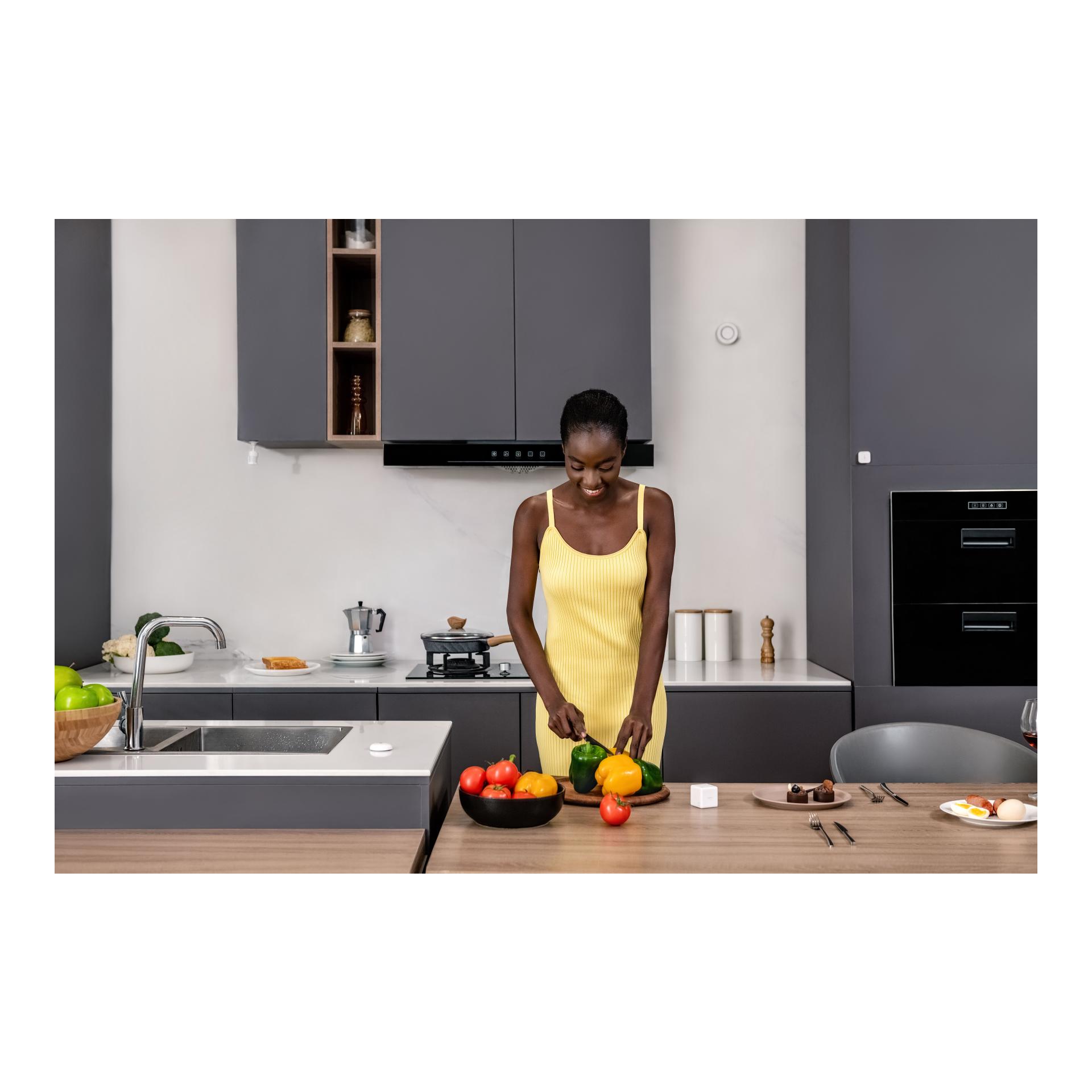 Motion Sensor P1 Motion Sensor P1