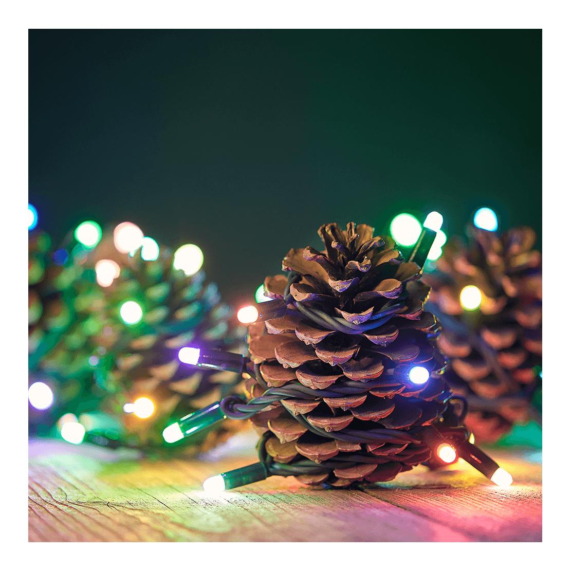 Tree Light Lichterkette (In & Outdoor)