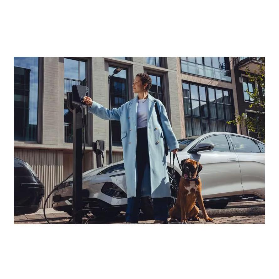 Ladestation Charge Max