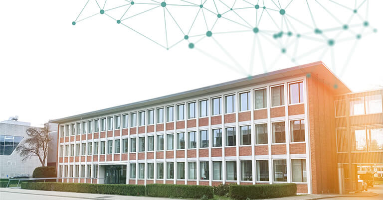 primeo-viboo-768x402