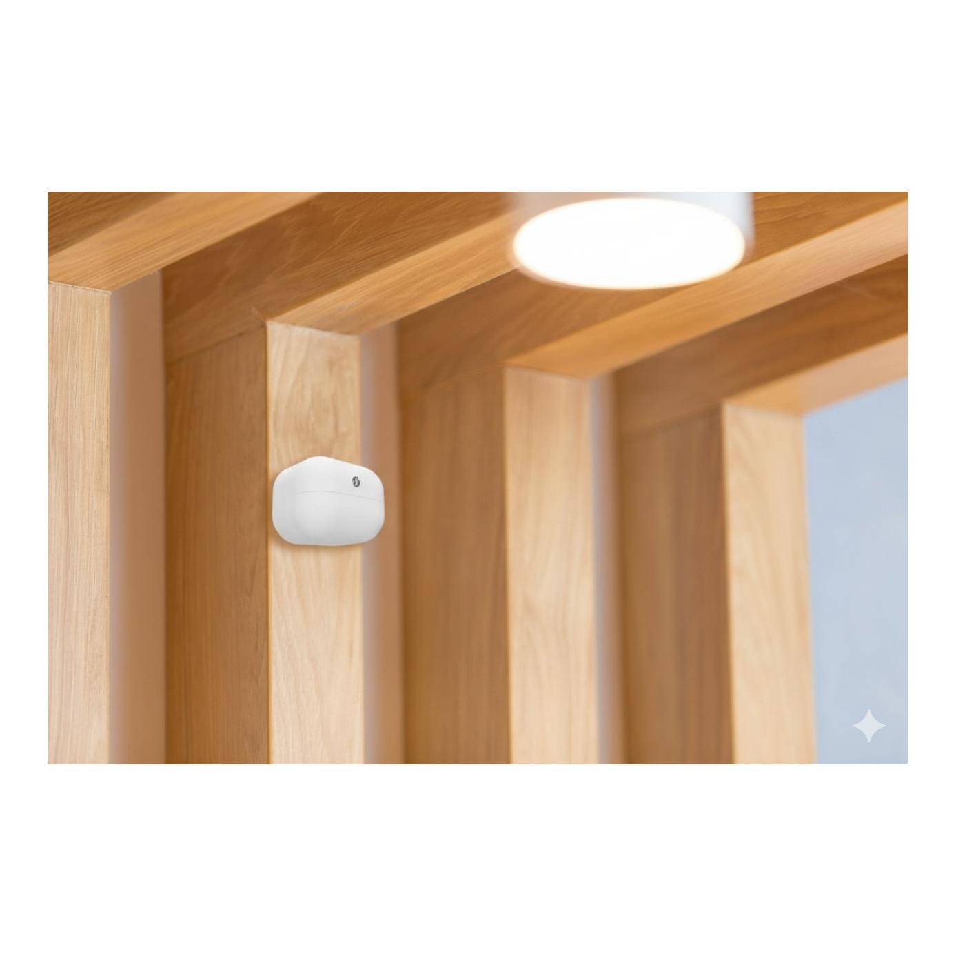 Détecteur de mouvement sans fil BLU Motion Sensor