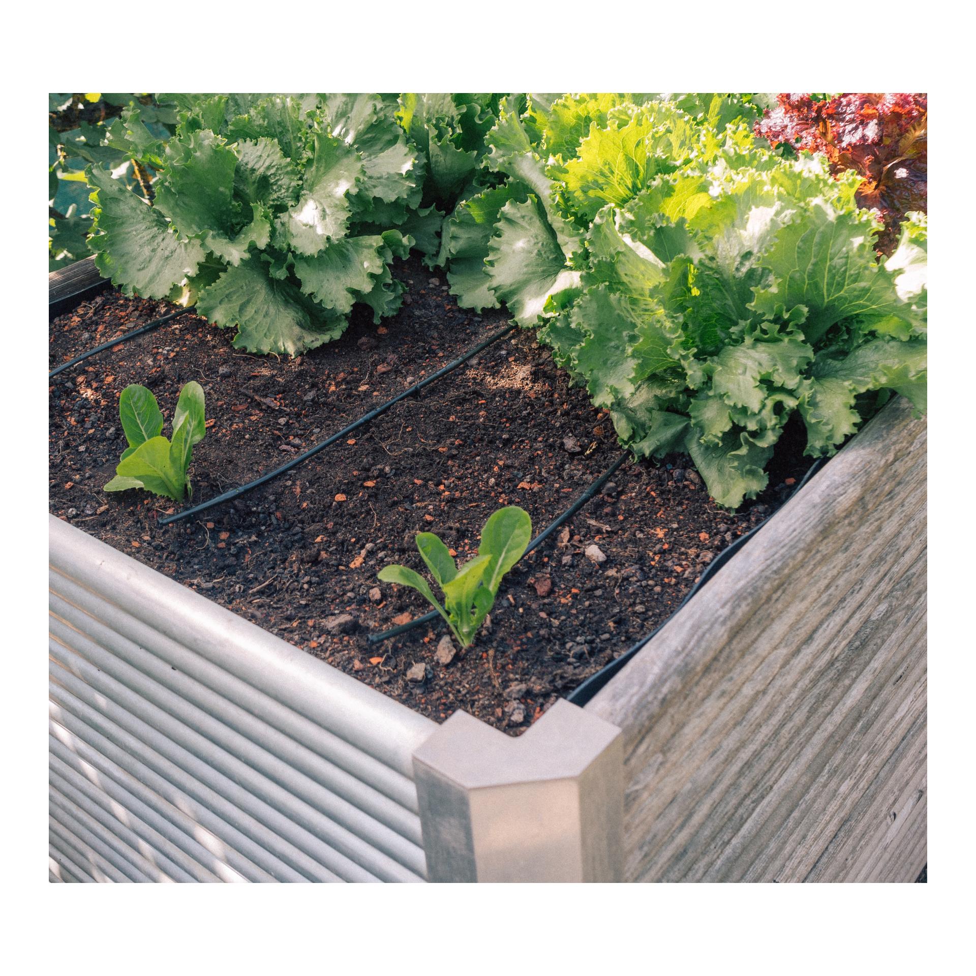 Drip-Set Bewässerung Gemüse und Blumenbeete Drip-Set Bewässerung Gemüse und Blumenbeete