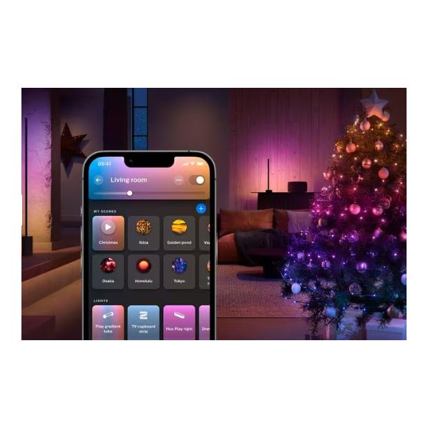 Festavia Lichterkette