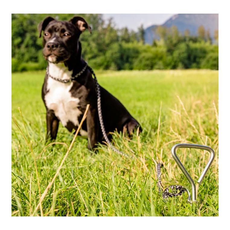 Spiral-Erd-Hering "gross" 