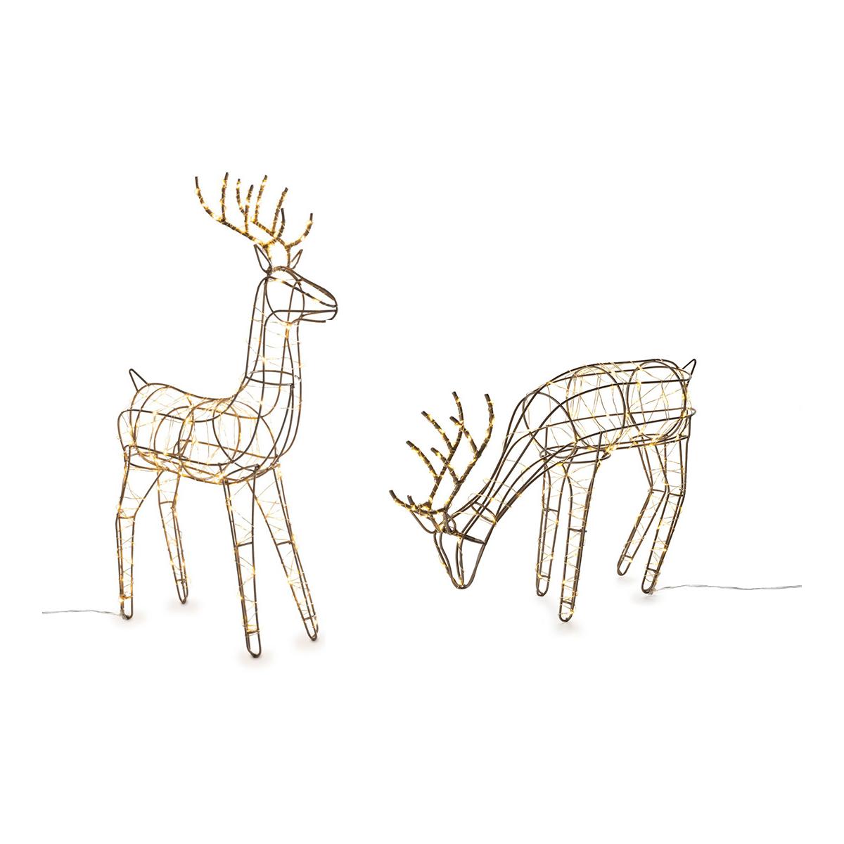 Rentiere Finley und Gavin Rentiere Finley und Gavin