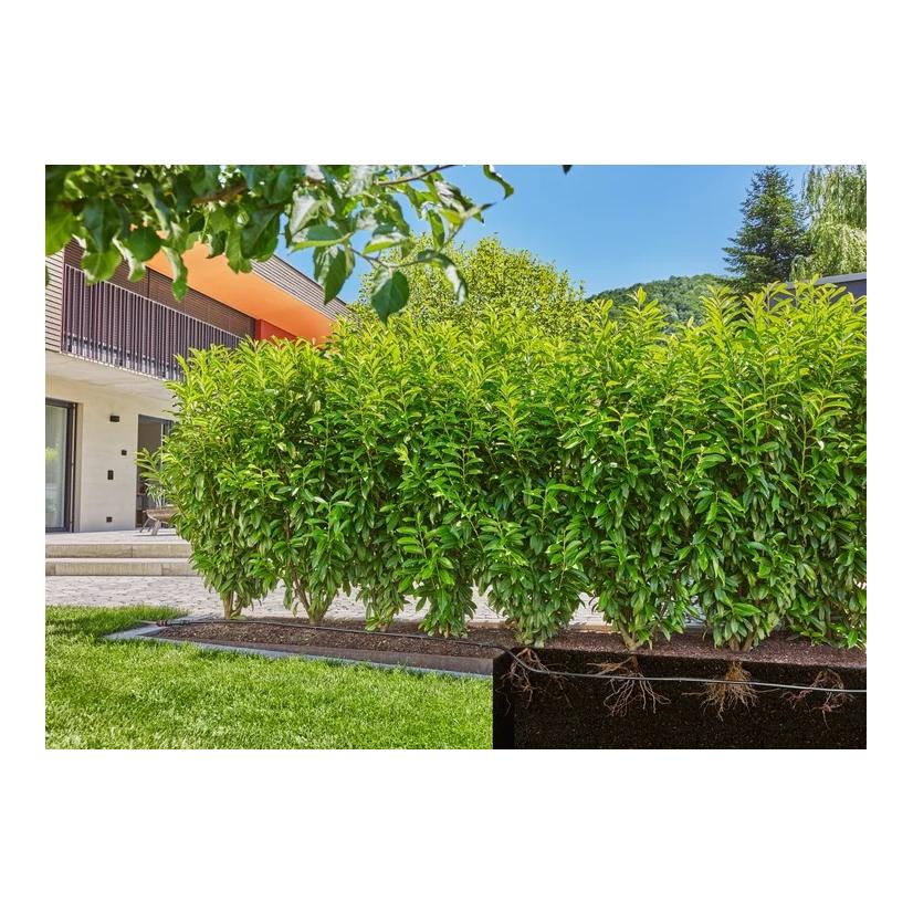 Tropfbewässerung Set 50 m Micro-Drip-System